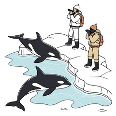 Of polar explorers observing orcas on ice floes wildlife observation © shahin9
