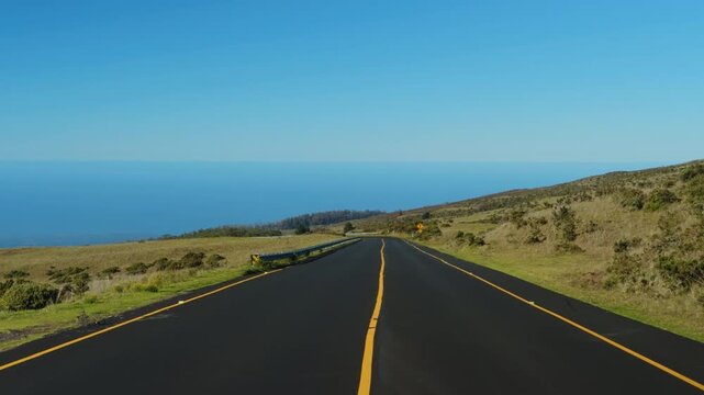 Haleakalā Highway, East Maui Volcano, Hawaii. shield volcano. Leptecophylla tameiameiae, pūkiawe or maiele.. Family: Ericaceae