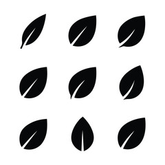 Fototapeta premium Minimal leaf silhouette icon set with clean modern botanical shapes.