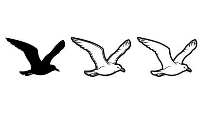 Obraz premium Collection of three distinct graphic representations showcasing a seagull in mid-flight including a solid silhouette a simple outline and a colored cartoon style illustration