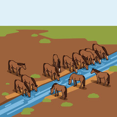 Herd of horses drinking from a watering trough outdoors. © agussssss