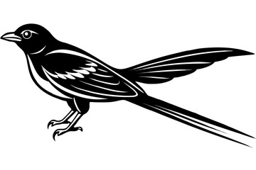 Obraz premium A minimalist black and white illustration of a bird in flight with outstretched wings and sharp claws