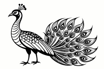Obraz premium A black and white illustration of a peacock with its feathers spread out in a beautiful display