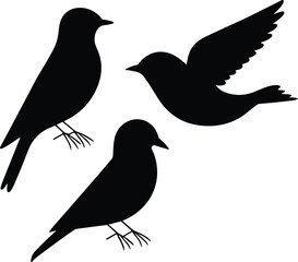 Obraz premium Black Bird Silhouette Set with Flying and Perched Songbirds Isolated on White Background Wildlife Vector Illustration