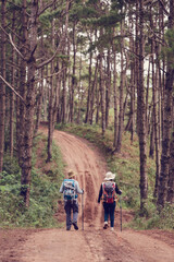 Fototapeta premium During holidays, tourists flock to hike in the forests and mountains of Asia.