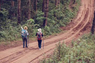 Obraz premium During holidays, tourists flock to hike in the forests and mountains of Asia.