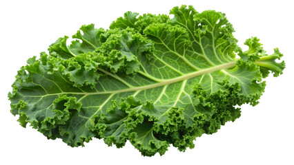 Obraz premium Fresh curly kale leaf with vibrant green color isolated on transparent background