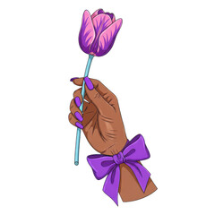Single pink tulip with brown stem and purple ribbon, isolated on transparent background