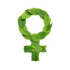 Green feminist symbol wreath isolated on transparent background