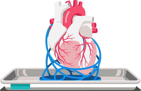 A 3D printed heart model rests on a tray, showcasing innovative pre-operative planning. Modern, detailed, and visually striking.