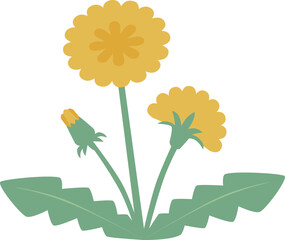 3つの黄色いタンポポの花とつぼみベクターイラスト © みつば 328