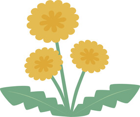 シンプルな北欧風カラーの野原に咲く3つの黄色いタンポポのベクターイラスト © みつば 328