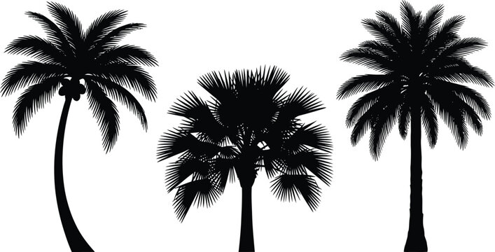 A collection of distinct palm tree silhouettes including coconut palm, fan palm, and date palm, arranged harmoniously, a clean white background. Minimalist design, high contrast, no colors other than 