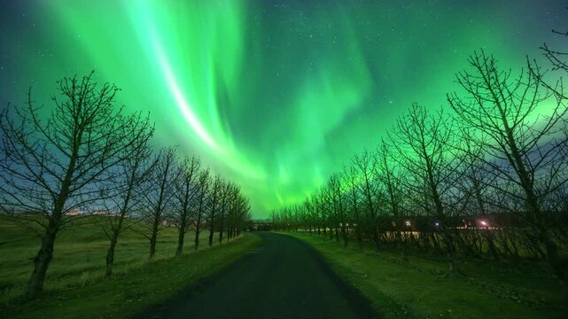 This animation of the northern lights was created in Adobe After Effects. Northern lights and the starry sky reflecting on the water.
Beautiful green and red aurora dancing over the hills.