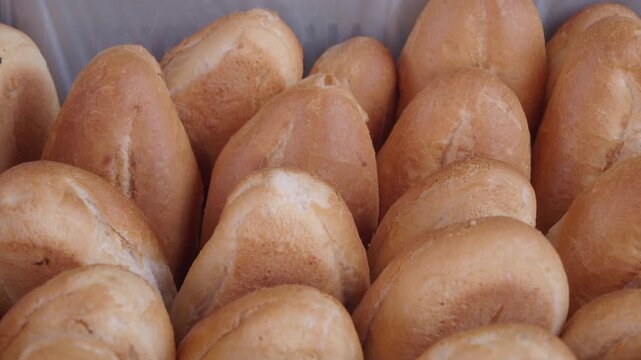 Close up motion of numerous baked rolls, fresh bread buns, golden crunchy crust, many tasty pastries in bakery