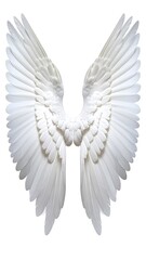 Obraz premium Two elegant, soft, white feathered wings symmetrically displayed against a clean, bright white background