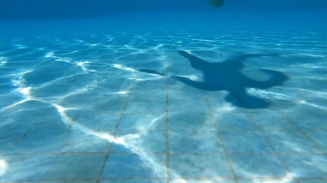 Underwater view of a swimming pool with sunlight patterns on the bottom and a shadow of a person swimming.