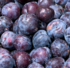 A bunch of purple plums