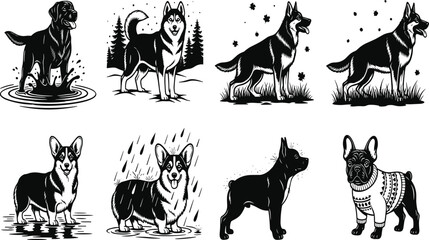 Black and white vector silhouette set of diverse dog breeds including husky corgi labrador and german shepherd for pet care and animal branding © MstMerezan