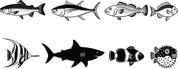 Vector Silhouette Collection of Marine and Freshwater Fish Including Shark Tuna Trout and Pufferfish Isolated on White Background for Seafood Market and Fishing Sport Design © MstMerezan