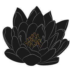 Lotus flower silhouette illustration, vector design for Vesak Day eps 4