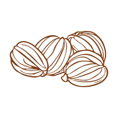 Make a Professional Shea Butter Vector