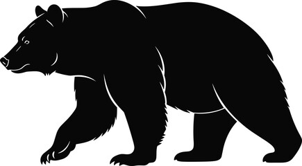 Obraz premium Black vector silhouette of a powerful grizzly bear walking in profile with realistic fur texture for forest wildlife nature conservation and animal branding
