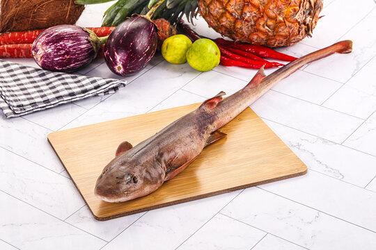 Raw indian catshark for cooking