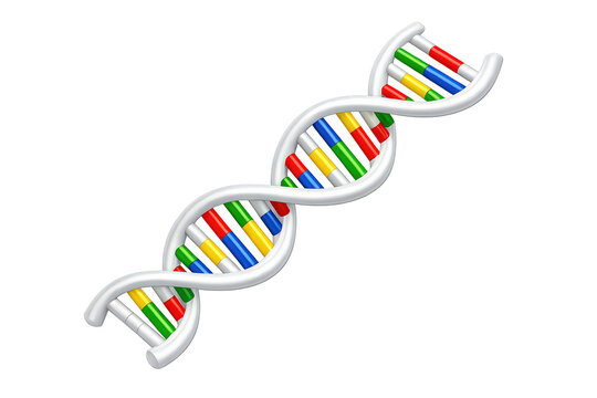 Dna double helix structure representing genetics, biology, research, and scientific discovery on a transparent background