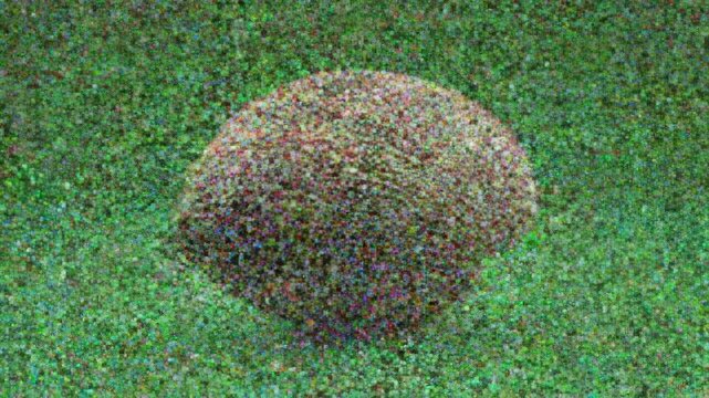 A detailed shot of a clam shell spinning on a bright green background, ideal for visual effects and overlays.