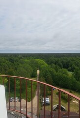 Fototapeta premium View of the forest from the tower