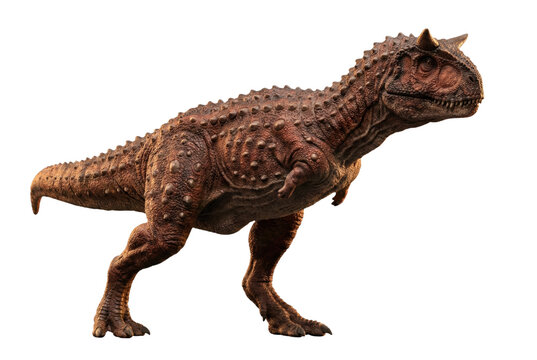 Carnotaurus dinosaur walking isolated. Reddish brown armored predator.