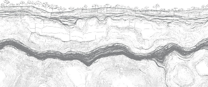 Detailed cross section of layered earth strata with trees on the surface geology layers
