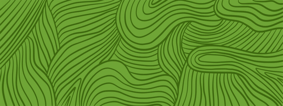 Organic farm background. Wavy vineyard field rows pattern for wine packaging and eco design.