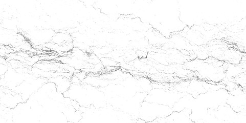 Fototapeta premium Intricate network of fine gray lines and dots forming abstract patterns on a white background texture