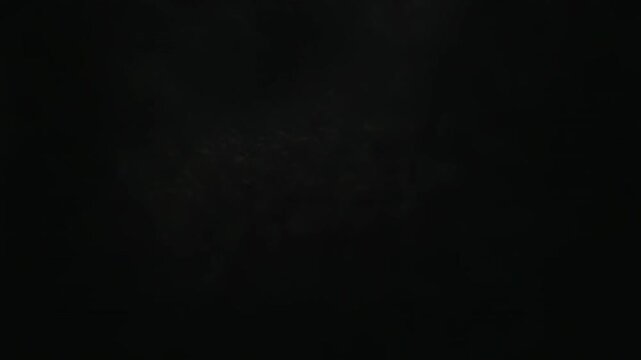 Dense fog blankets a dark, mysterious forest creating an atmospheric and gloomy landscape with tree silhouettes disappearing into the mist, evoking feelings of isolation and desolation