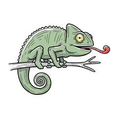 Fototapeta premium Green Chameleon Sitting on Branch.