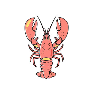 Crayfish Lobster Crustacean Shellfish Illustration.