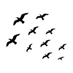 Obraz premium Flying Bird Silhouette