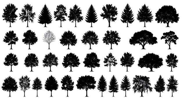 Silhouetted collection of various tree types in black and white, suitable for graphic design