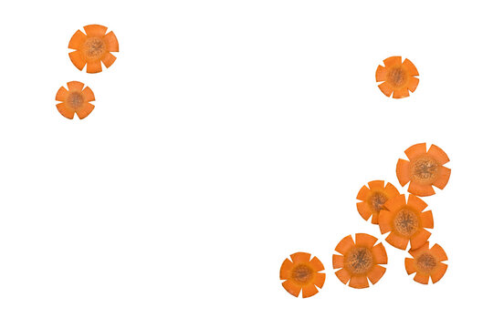 carrot cut flowers style fresh vegetable for health care arrangement flat lay postcard 