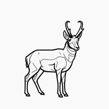 A stylized illustration of a pronghorn antelope standing in profile view.