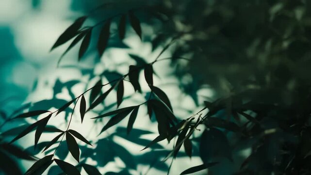 Soft teal light filters through slender bamboo leaves, creating peaceful shadows and an abstract pattern that evokes serenity and organic harmony in nature