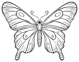 Intricate black and white line art of a butterfly with detailed wings and segmented body