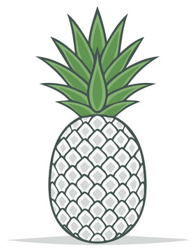 Stylized vector drawing of a pineapple fruit with diamond pattern and green leaves on the top