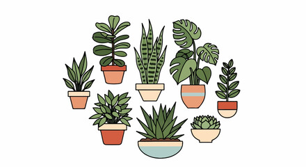 Collection of various potted green houseplants arranged in a circle