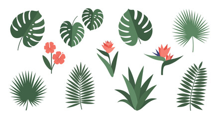 A collection of tropical leaves and flowers in a flat style ideal for designs on transparent background silhouette high quality professional © mrvect02
