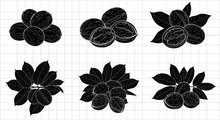 Black illustrations of various hazelnut clusters with leaves on a grid background for design and decoration