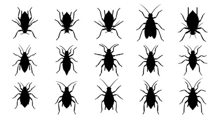 Collection of various black bug silhouettes on white background insects pests creepy crawlies