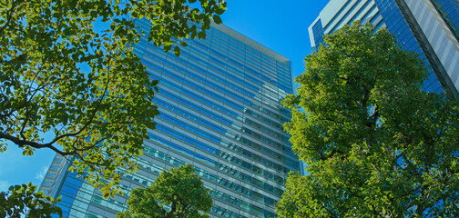 高層ビル　オフィス街